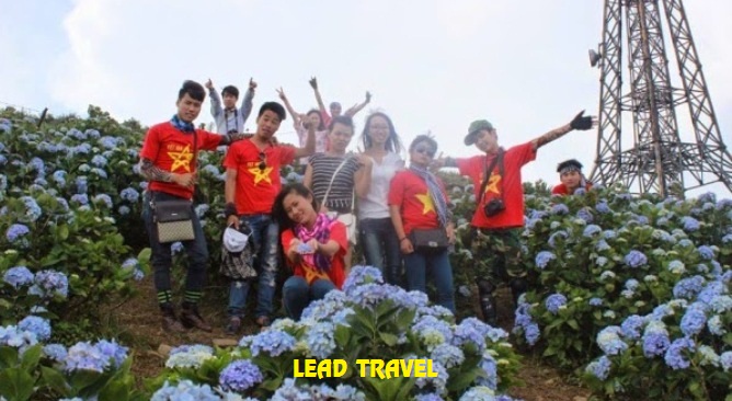 du lịch Mẫu Sơn ngắm hoa cẩm tú cầu