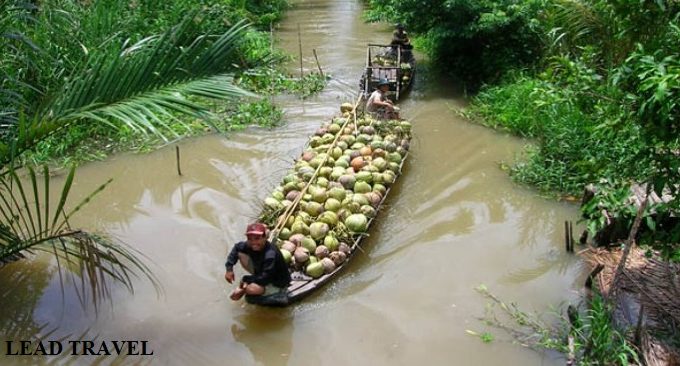 Cái Mơn