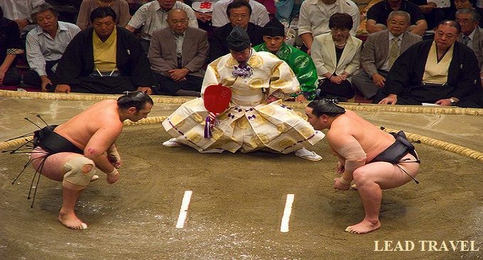 đấu trường sumo