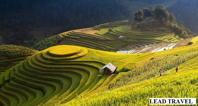 ruộng bậc thang đẹp