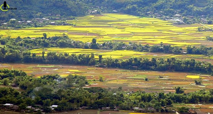 Mường Lò