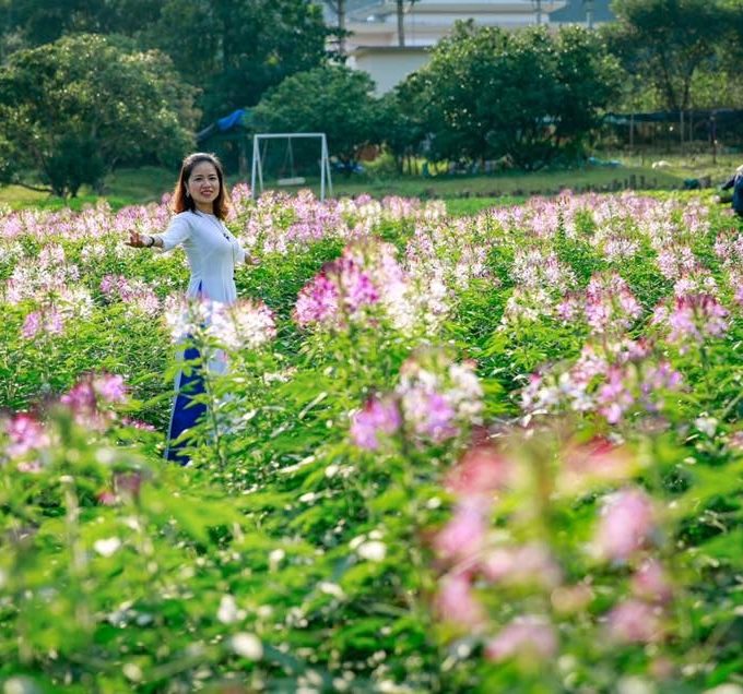 du lịch Cát Bà 1 ngày