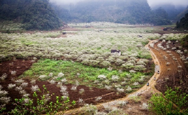 Mai Châu tháng 12