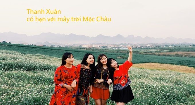 hoa cải Mộc Châu