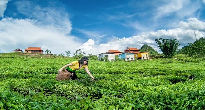 kẹo sữa Mộc Châu