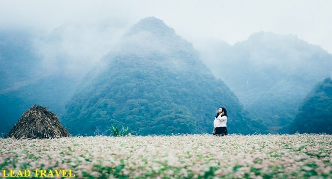 nhà nghỉ ở Hà Giang