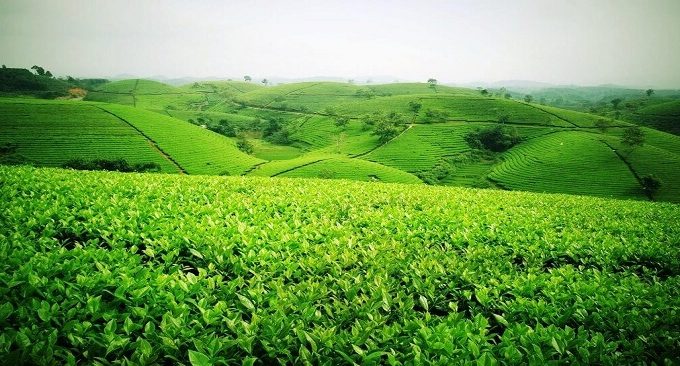 khách sạn Hoàng Mấm Minh Cầu Thái Nguyên