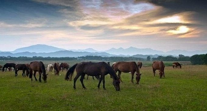 kinh nghiệm du lịch Thái Nguyên