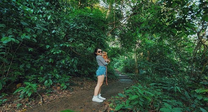 kinh nghiệm du lịch cúc phương 2 ngày 1 đêm