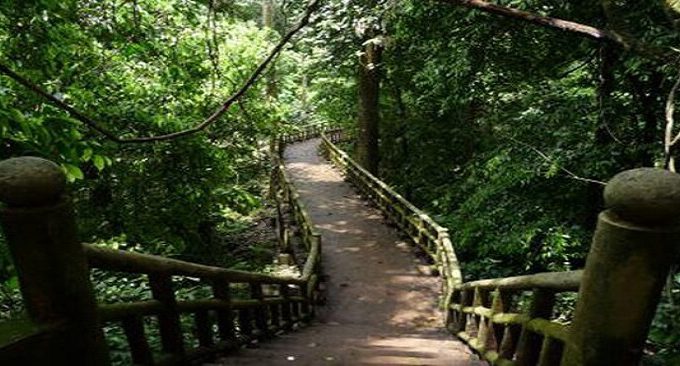 kinh nghiệm du lịch cúc phương
