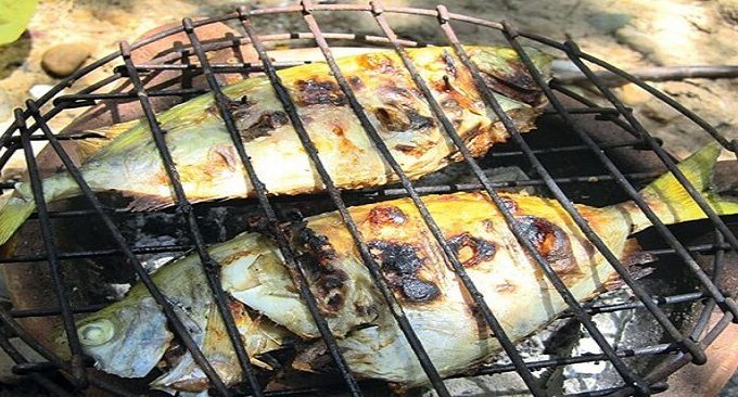 kinh nghiệm đi đảo Hòn Ngư Cửa Lò
