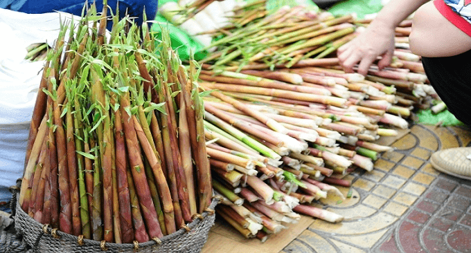 kinh nghiệm đi Yên Tử 1 ngày