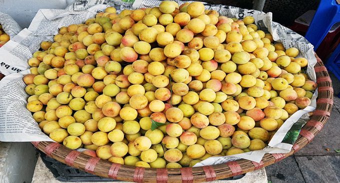 Lễ hội chùa Hương tháng mấy