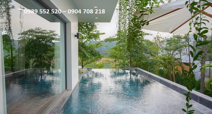 flamingo đại lải giá rẻ