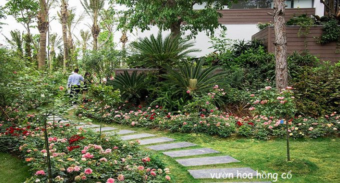 giá vé vào cổng flamingo đại lải