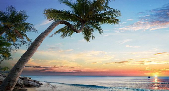 vinoasis phú quốc resort reviews