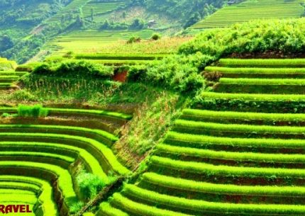 Tour Sapa 3 ngày 2 đêm Giá rẻ