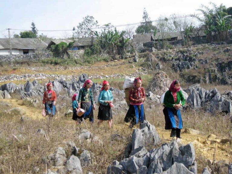 du-lich-dong-van-ha-giang (2)