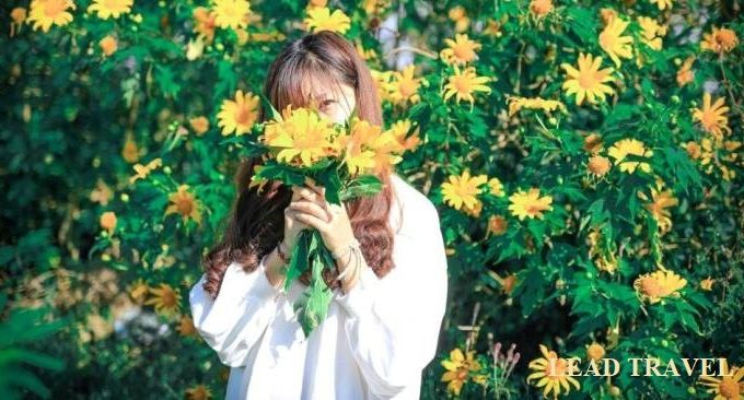 Đi Đà Lạt mùa nào đẹp nhất