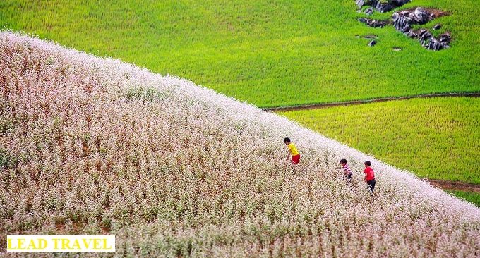 du lịch Hà Giang tháng 10