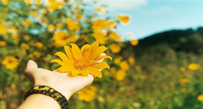 Những điểm du lịch Cao Bằng