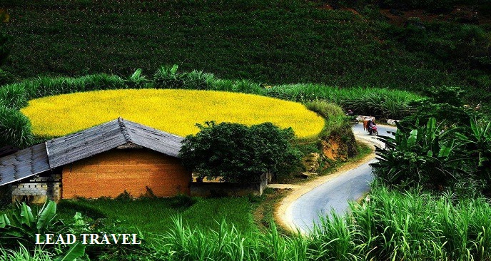 du lịch Hà Giang mùa nào đẹp