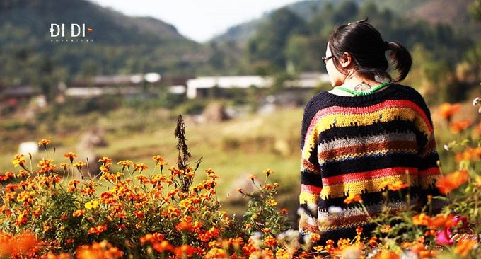 điểm du lịch Đồng Văn Hà Giang