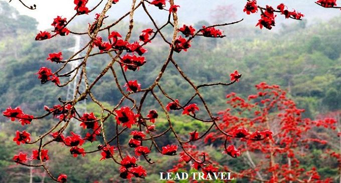 xe khách Hà Giang đi Quản Bạ