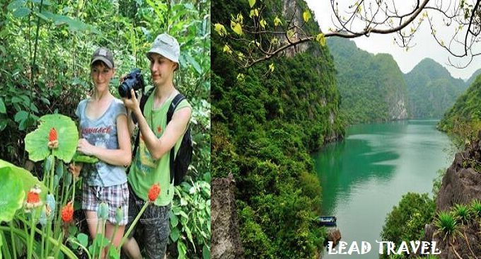 kinh nghiệm du lịch Vườn quốc gia Cát Bà