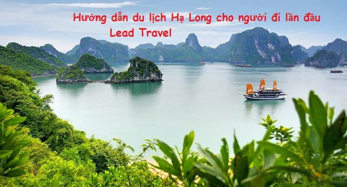hướng dẫn du lịch Hạ Long