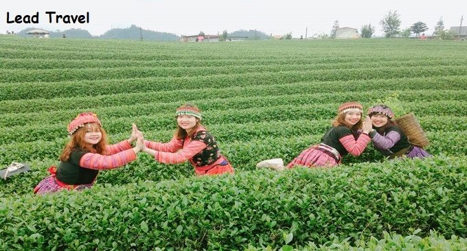 cẩm nang du lịch Mộc Châu