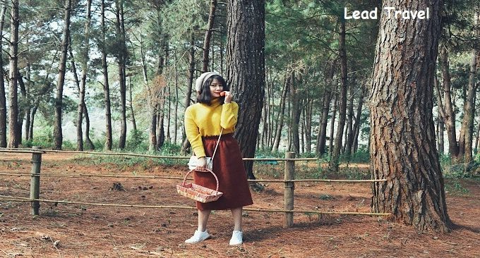 Khoảng cách Hà Nội Mộc Châu