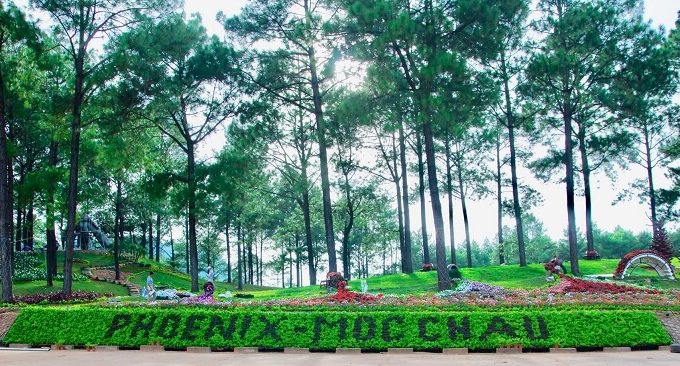 Phoenix Mộc Châu Resort