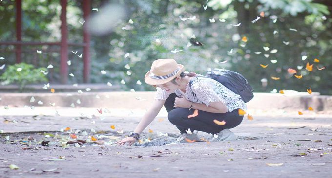 du lịch Cúc Phương ngắm bướm