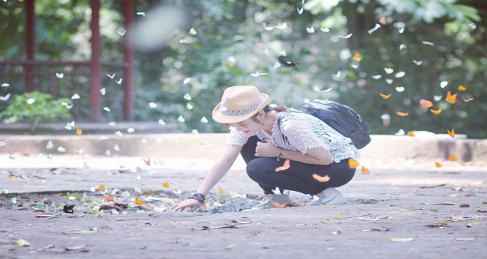 du lịch Cúc Phương ngắm bướm