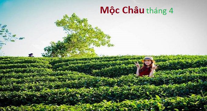 thiên đường mộc châu tháng 4