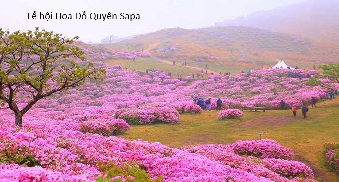 du lịch sapa tháng nào đẹp nhất