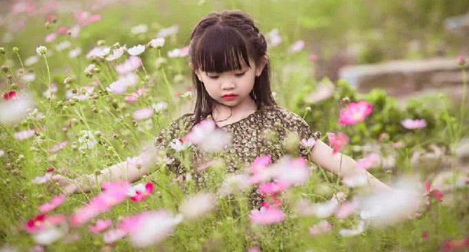 thung lũng hoa bắc hà