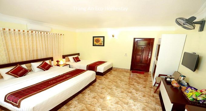 tràng an eco homestay