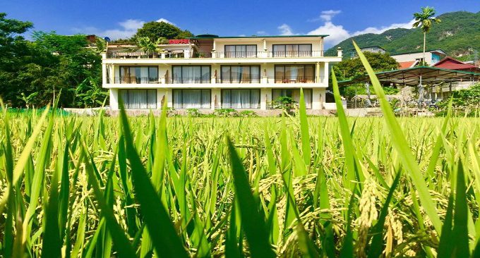 mai châu green rice field hotel