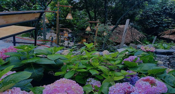 không gian vườn đẹp với nhiều loại hoa khoe sắc quanh năm