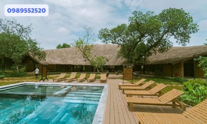 tomodachi retreat review