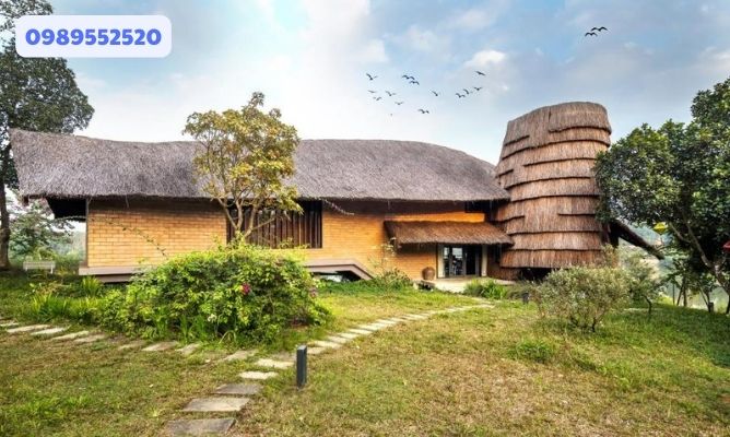 tomodachi retreat review